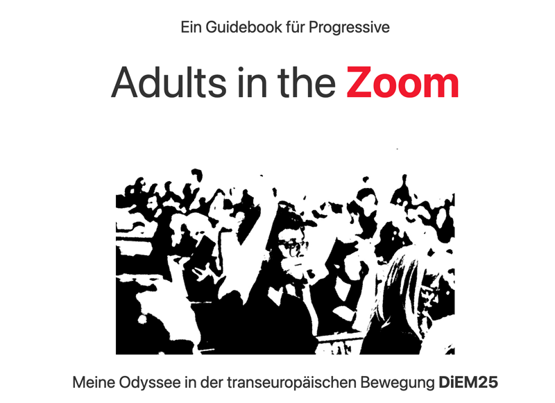Adults in the Zoom
